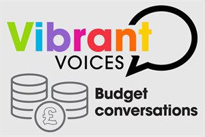 Vibrant voices budget conversations graphic
