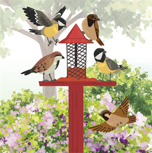 Illustration of garden birds on a feeder with a tray and a cage around the feeder