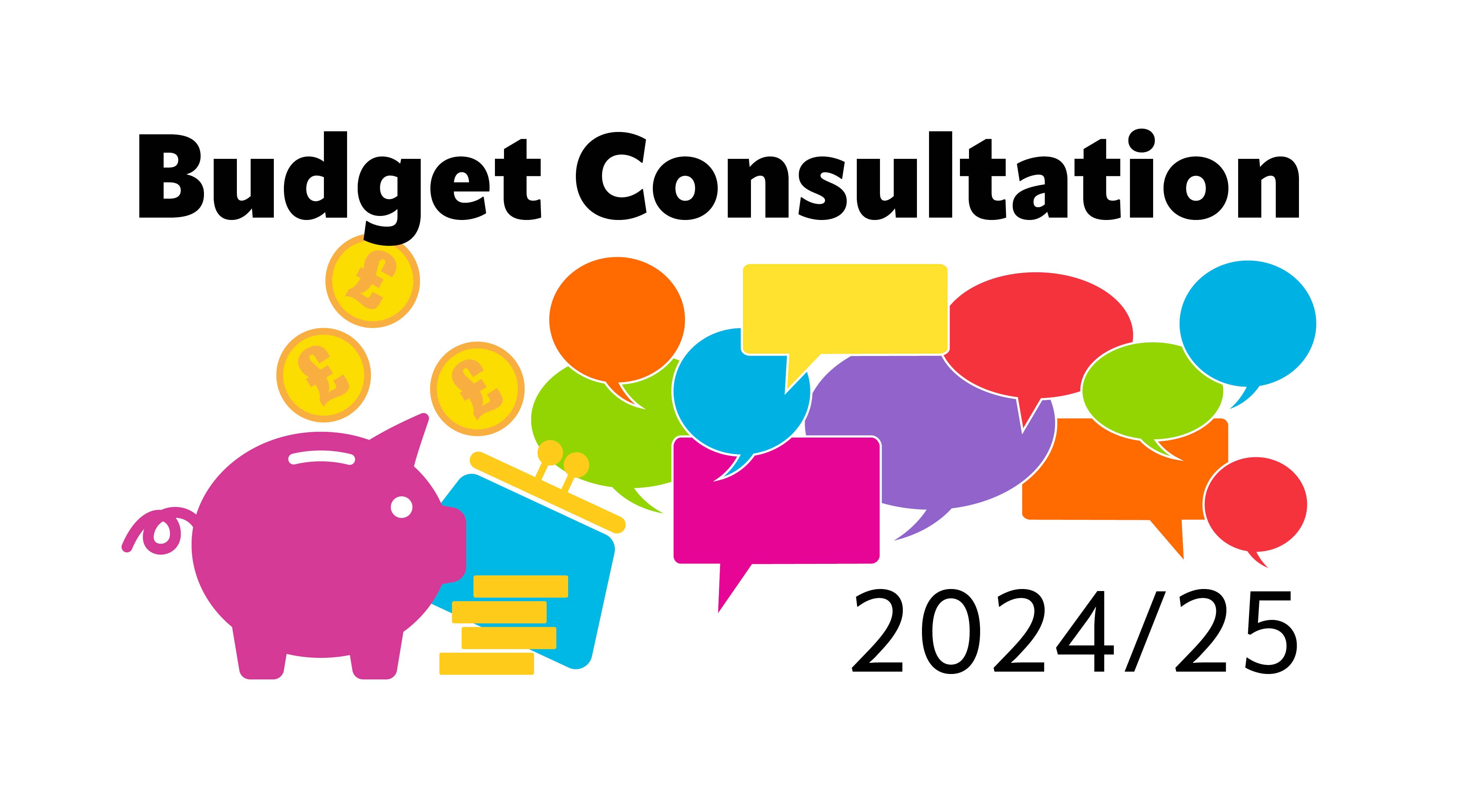 Budget Consultation 2024/25