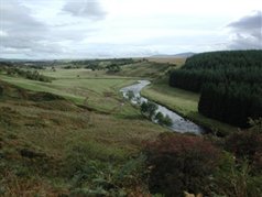 viewfrommerkland-RAW