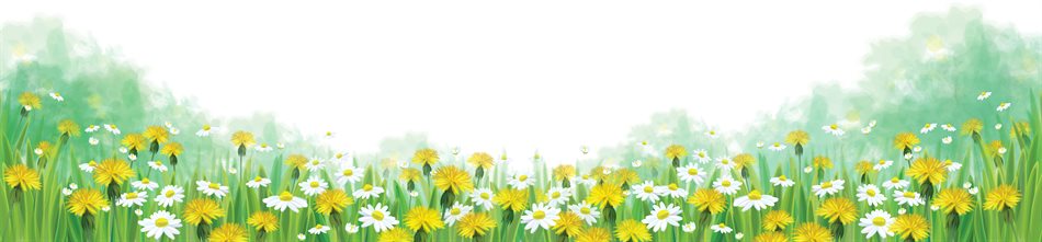 Daisies and dandelions