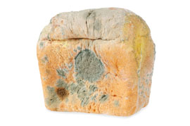 Loaf of mouldy bread