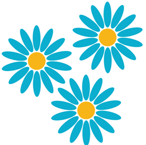 Three flowers with blue petals and a yellow centre