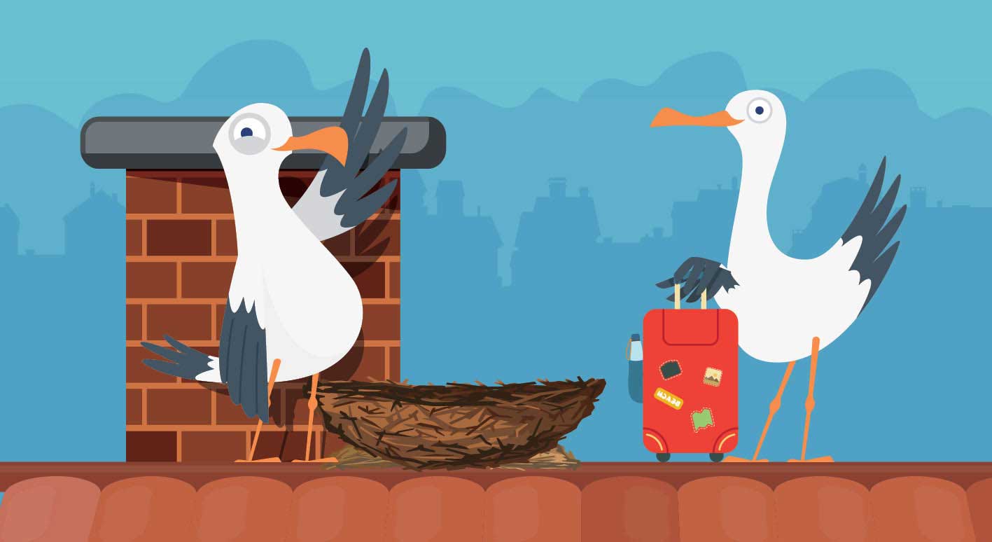 One Gull beside an empty nest on a roof and another Gull with a suitcase wanting to move in. The text on the image says: Nesting Gulls? Don't let them take over!