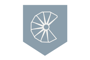 Vector graphic of spokes