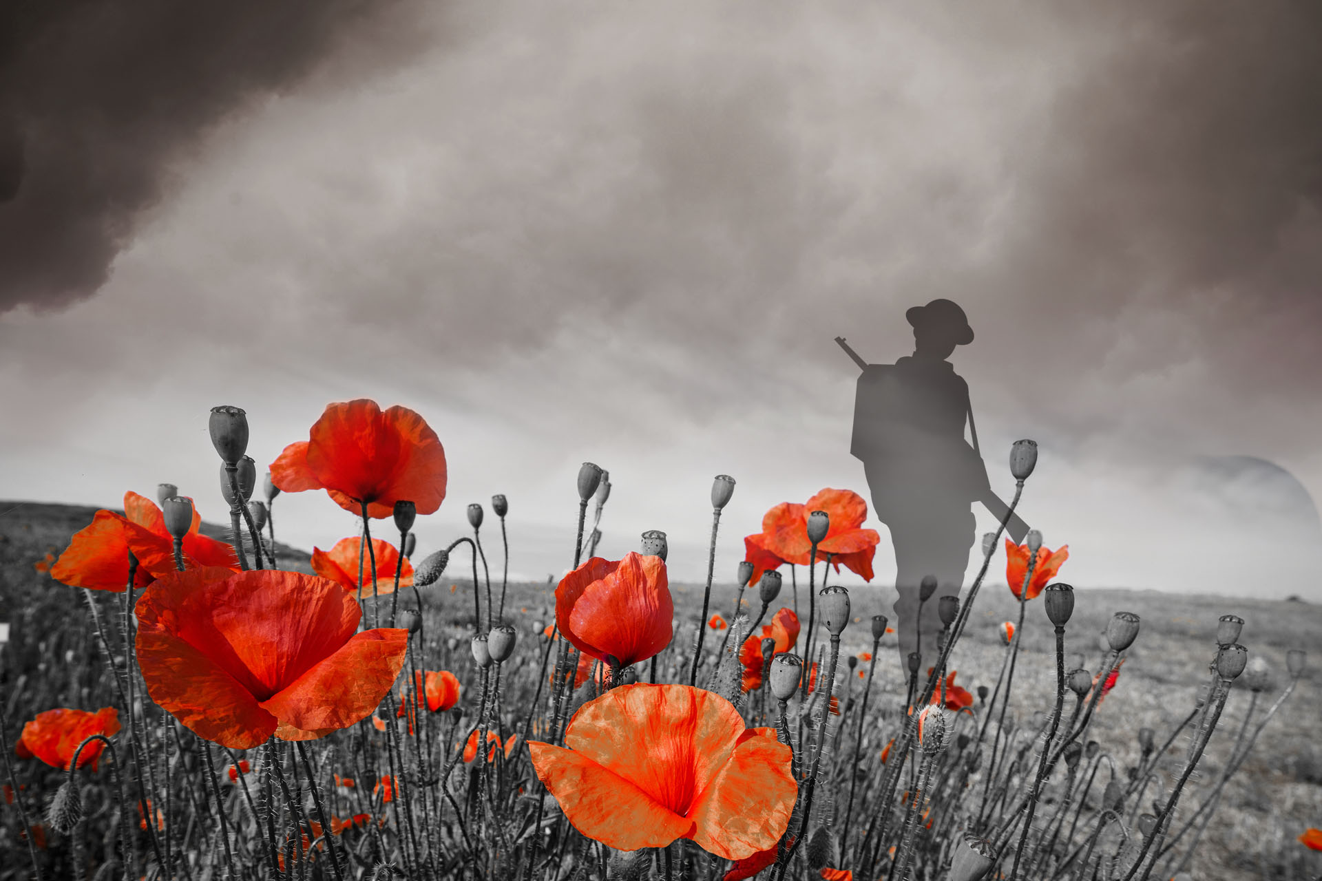 Dark grey shadow of a soldier carrying a weapon, standing against a cloudy grey sky and in a field of red poppies