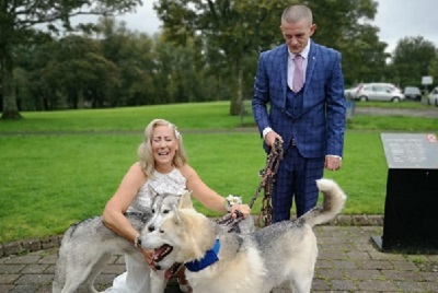 Bride crouching beside two large dogs and groom standing holding the leads