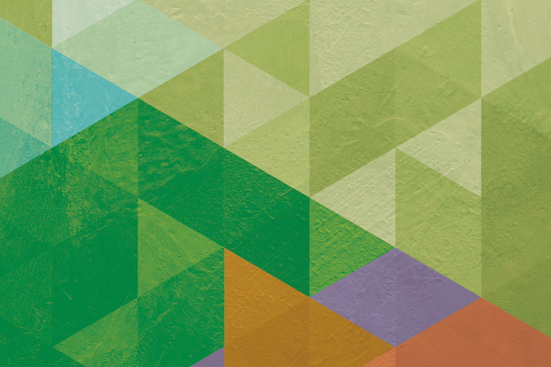 Adopted Local Development Plan 2 · East Ayrshire Council